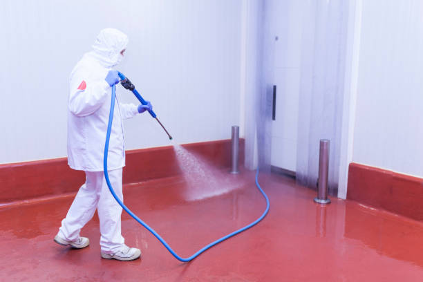 Best Graffiti Removal  in Montebello, NY